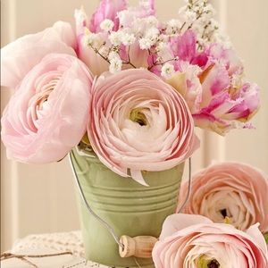 Meet your Posher, Debbie-lynn